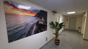 Immagini della sede OPI Ancona